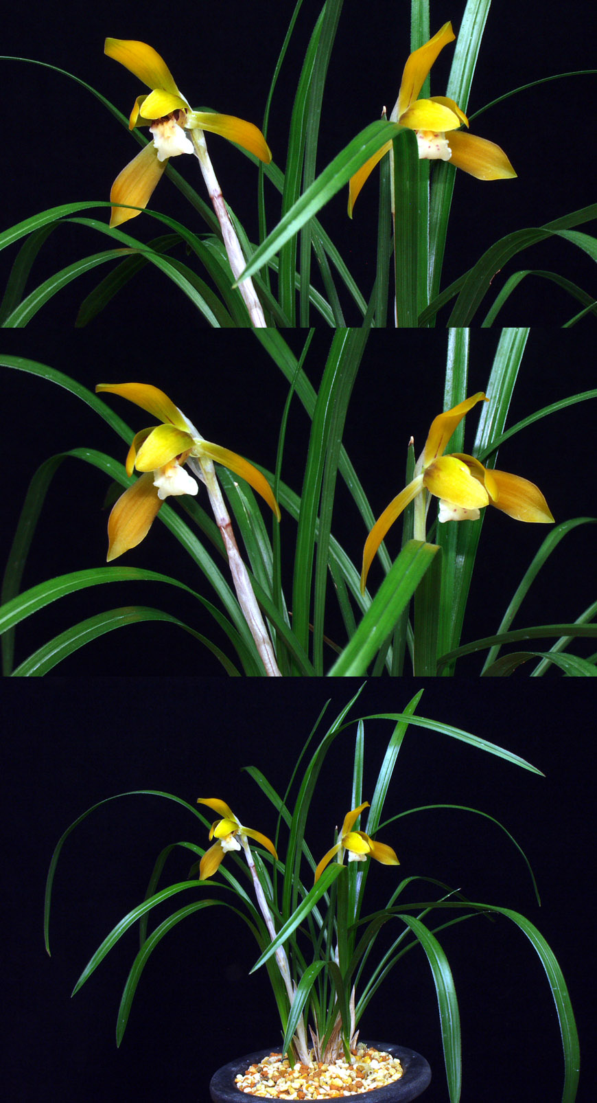 ������ ū������ �� �� �ֽ��ϴ�.