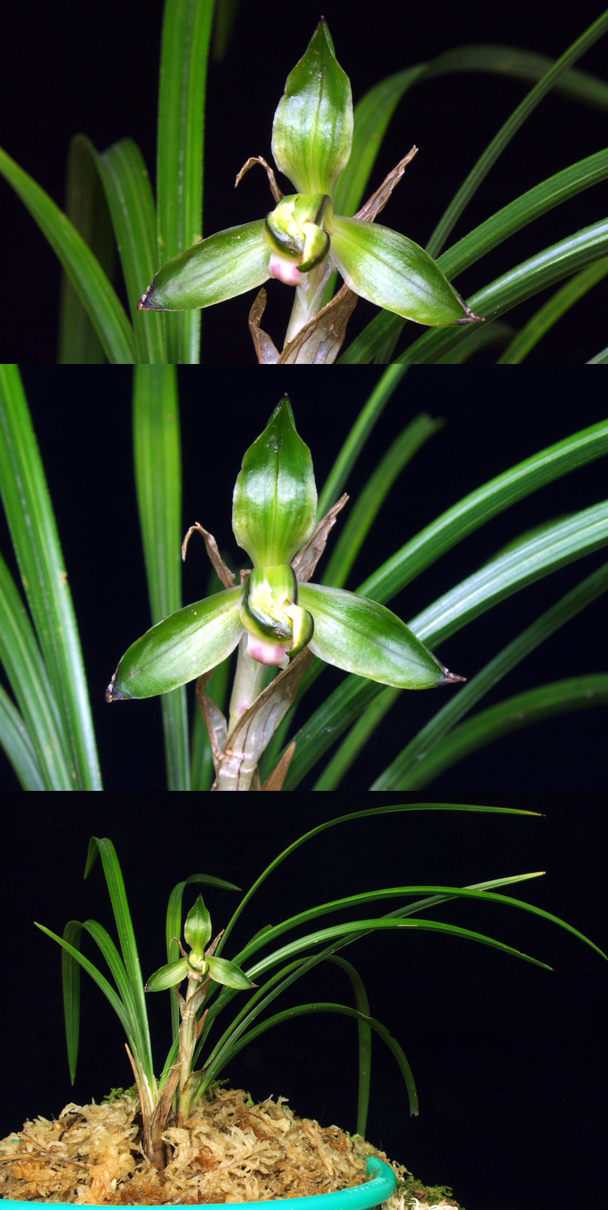 ������ ū������ �� �� �ֽ��ϴ�.