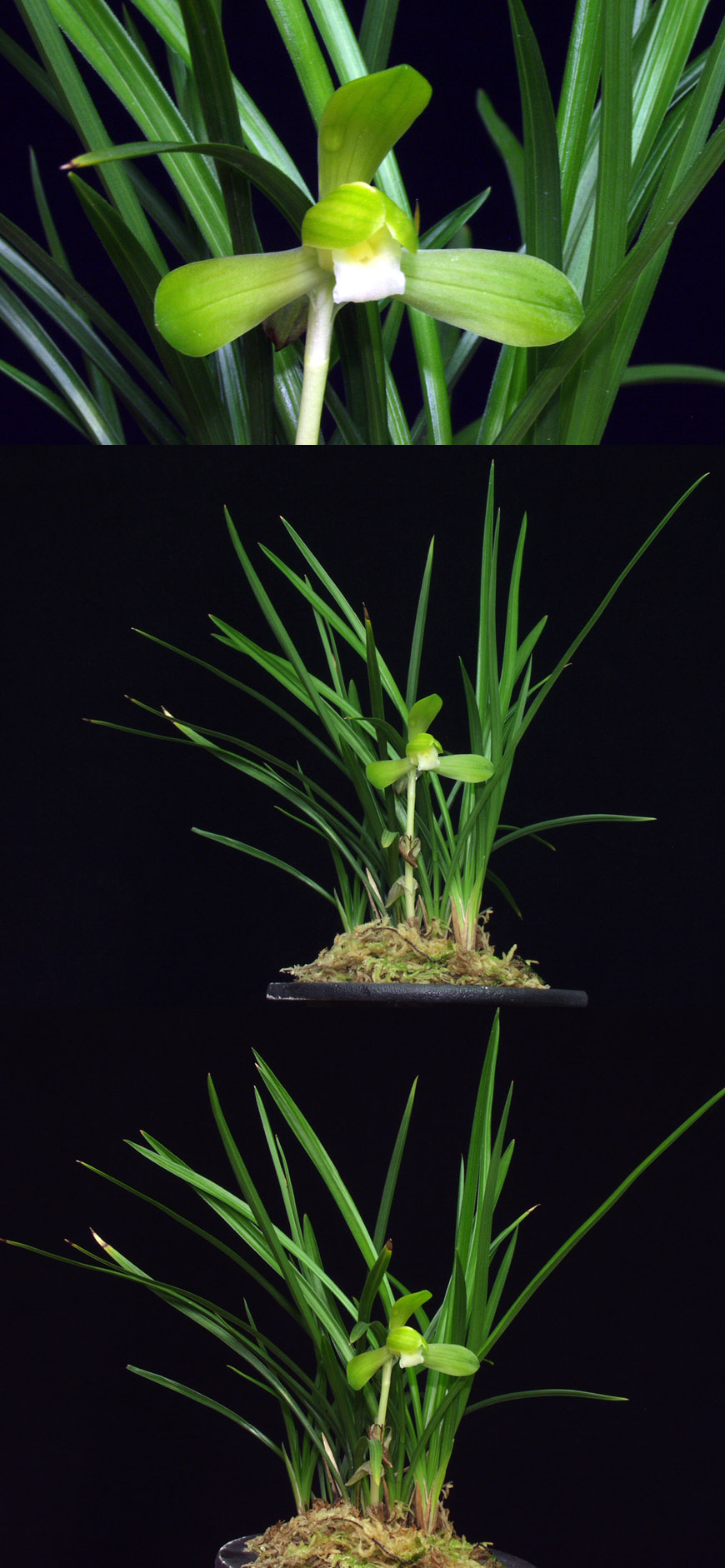 ������ ū������ �� �� �ֽ��ϴ�.