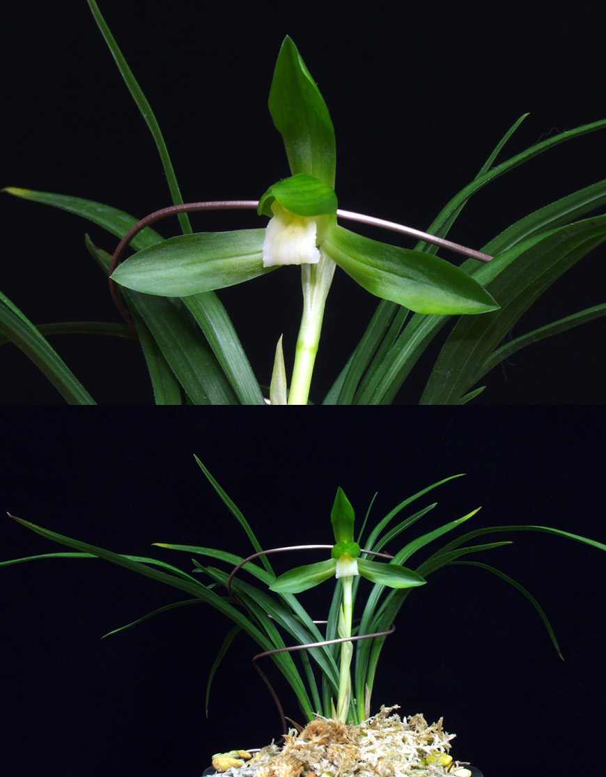 ������ ū������ �� �� �ֽ��ϴ�.