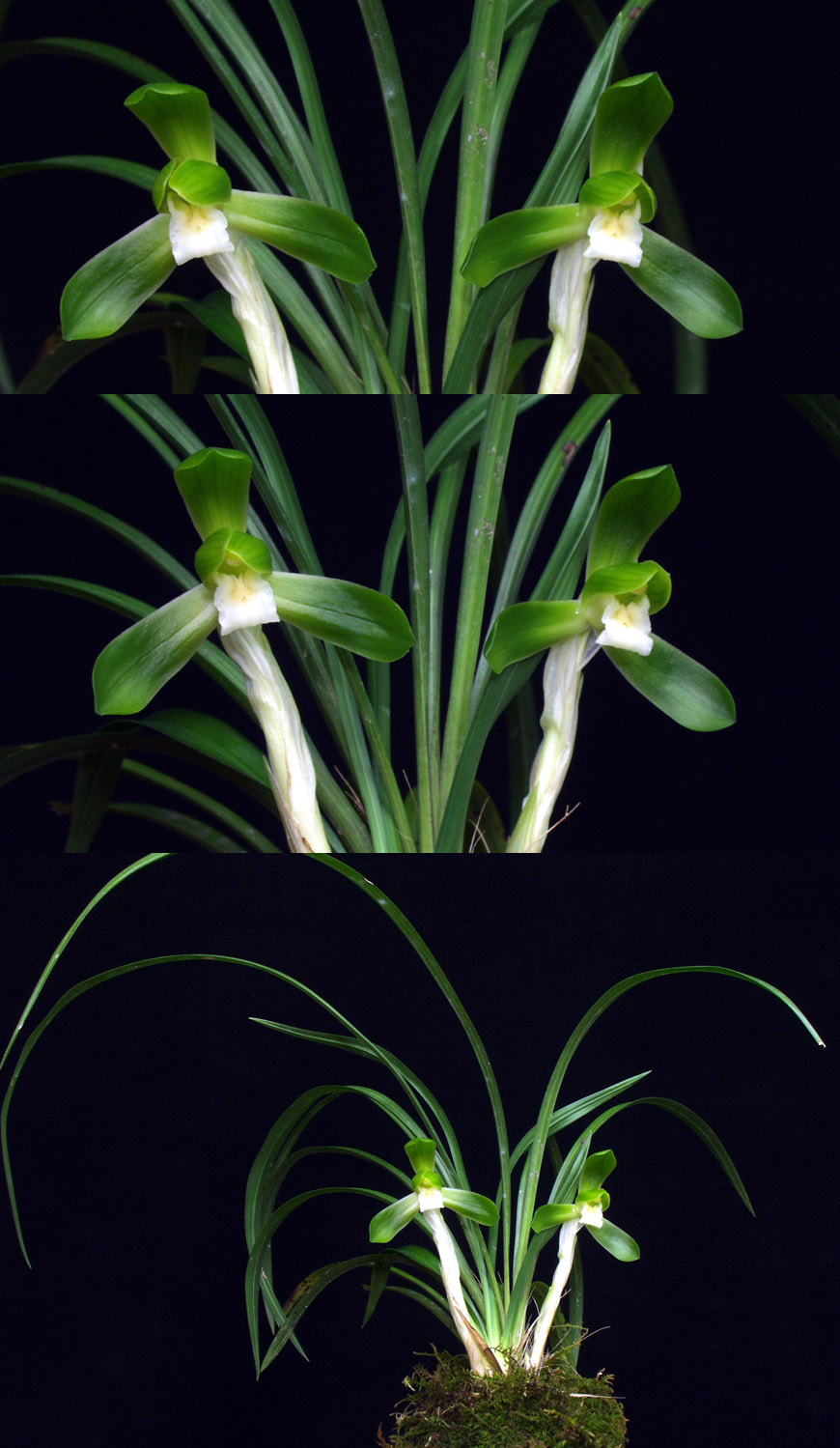 ������ ū������ �� �� �ֽ��ϴ�.