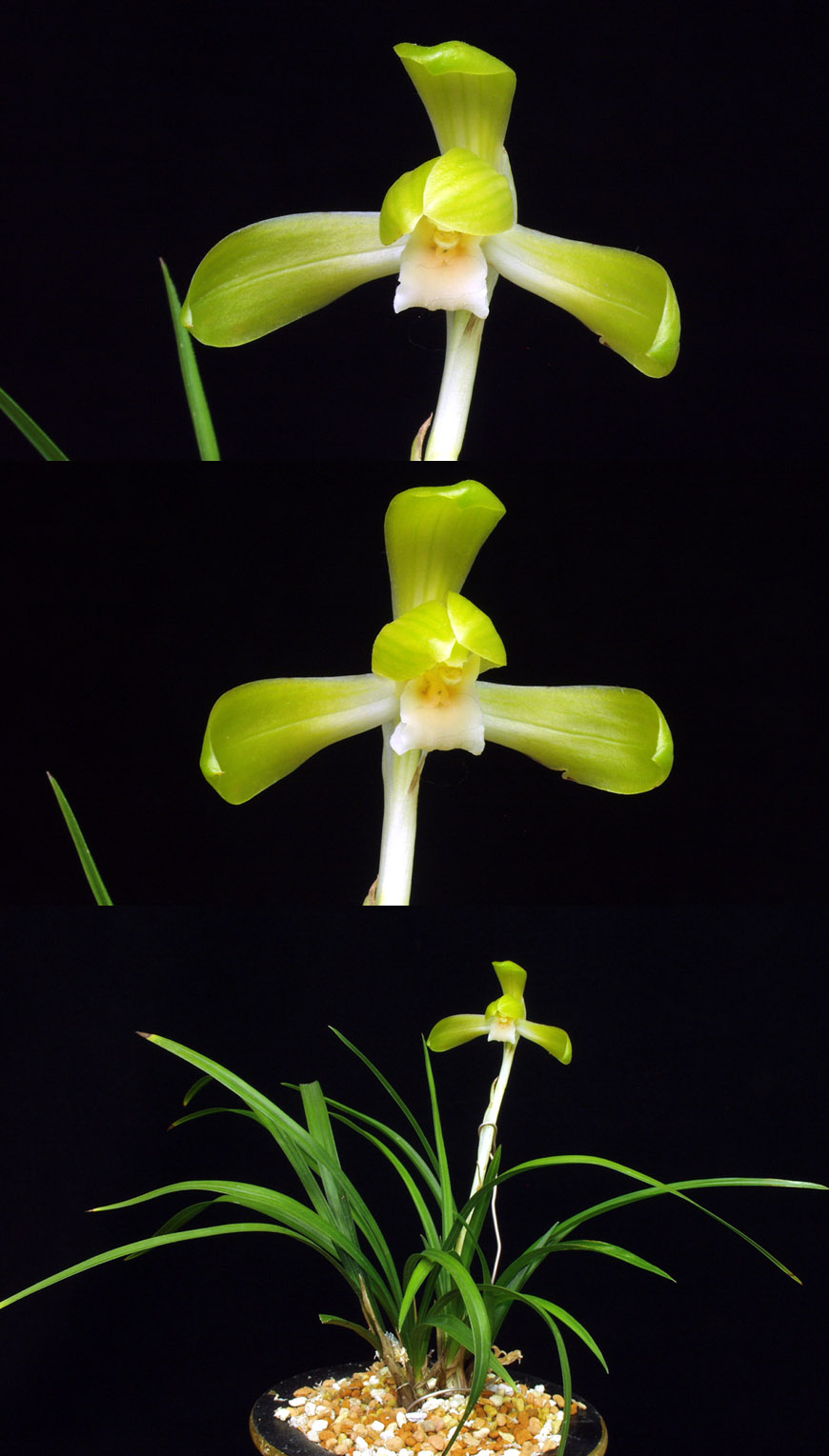 ������ ū������ �� �� �ֽ��ϴ�.