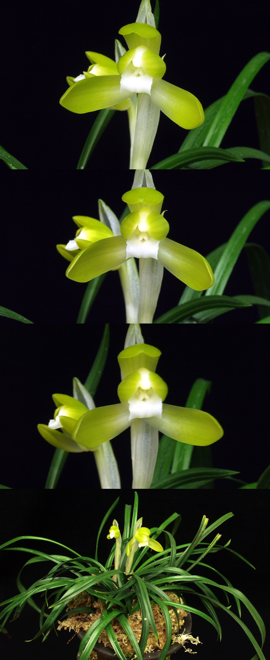 ������ ū������ �� �� �ֽ��ϴ�.