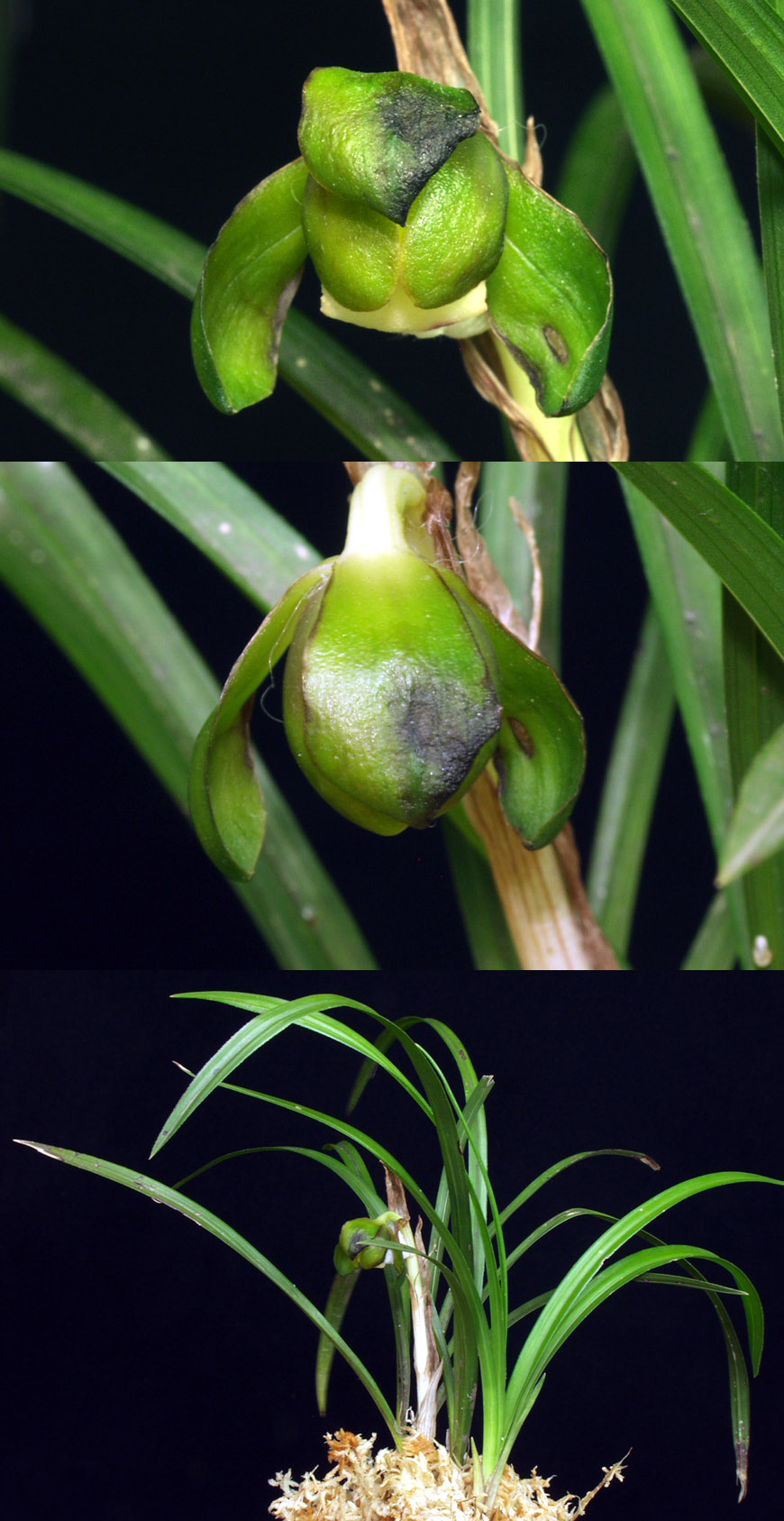 ������ ū������ �� �� �ֽ��ϴ�.