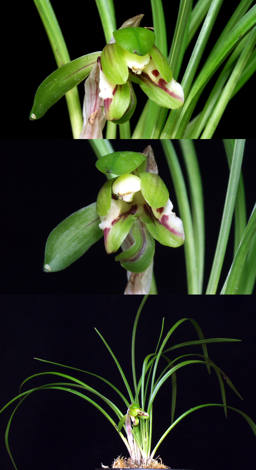 ������ ū������ �� �� �ֽ��ϴ�.