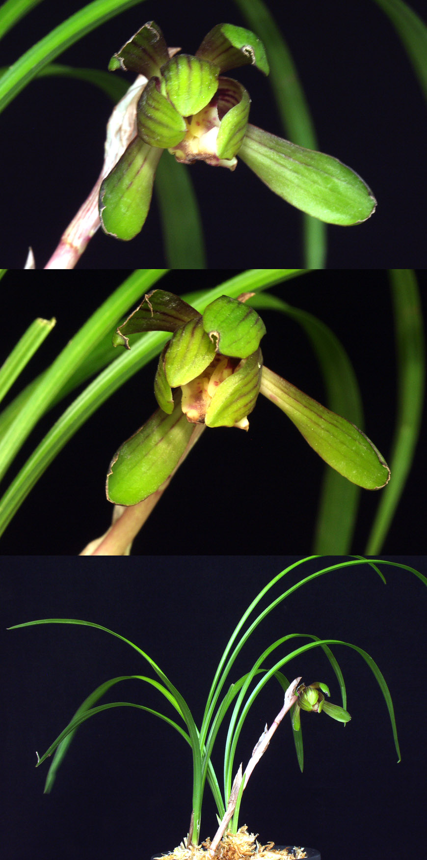 ������ ū������ �� �� �ֽ��ϴ�.