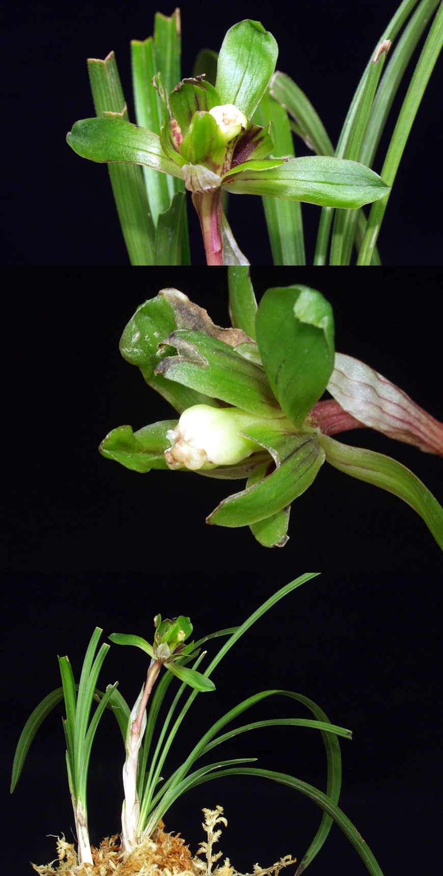 ������ ū������ �� �� �ֽ��ϴ�.