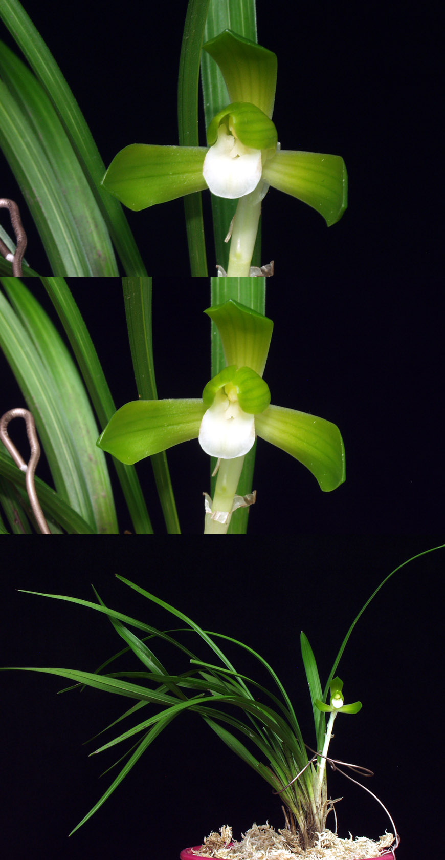 ������ ū������ �� �� �ֽ��ϴ�.