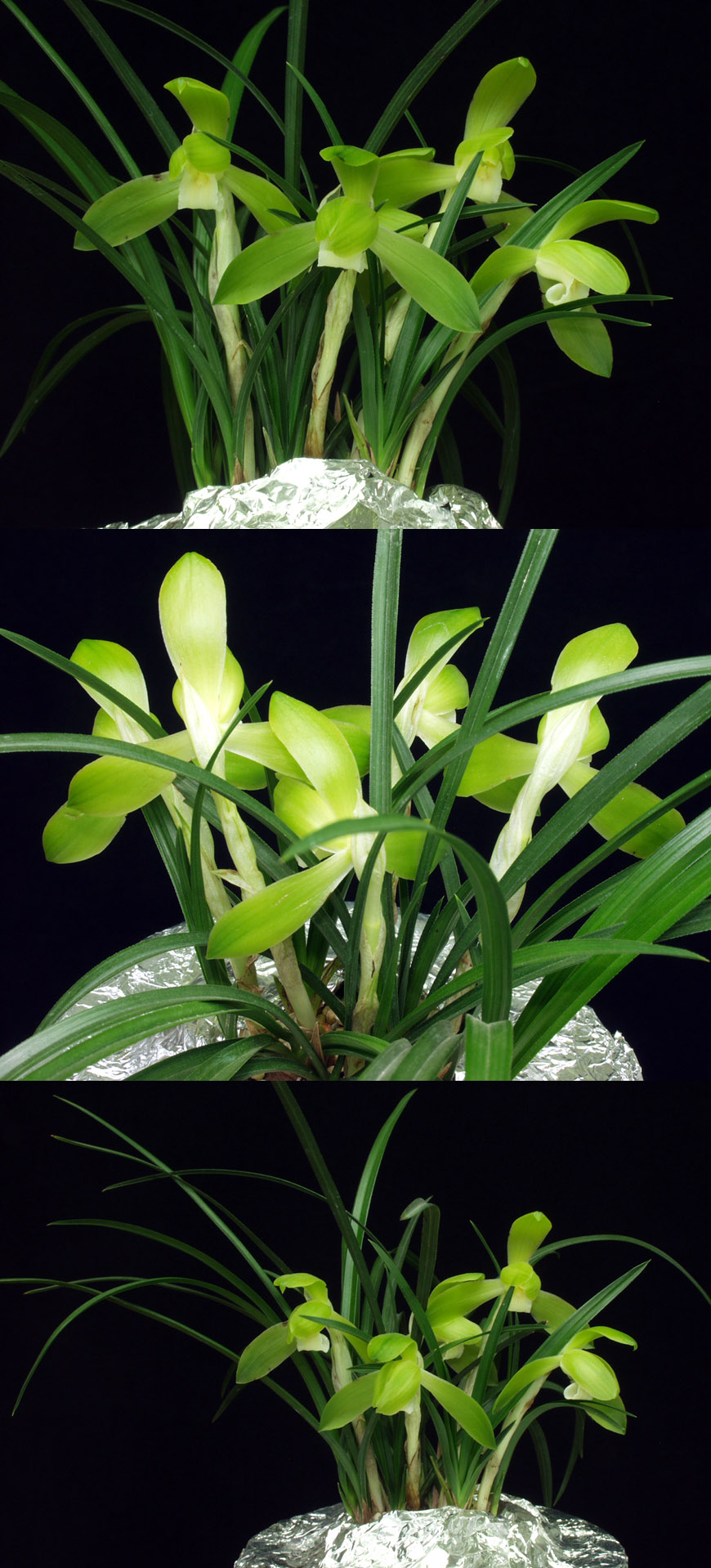 ������ ū������ �� �� �ֽ��ϴ�.