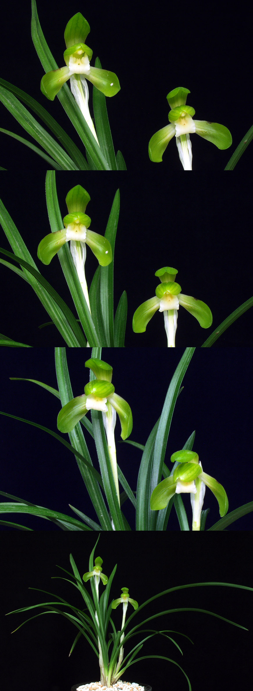 ������ ū������ �� �� �ֽ��ϴ�.