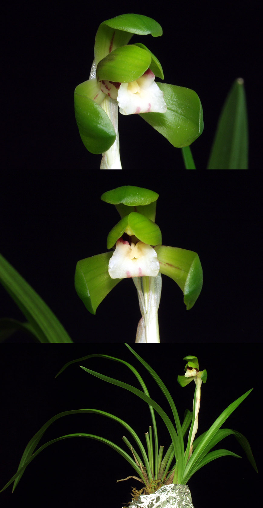 ������ ū������ �� �� �ֽ��ϴ�.