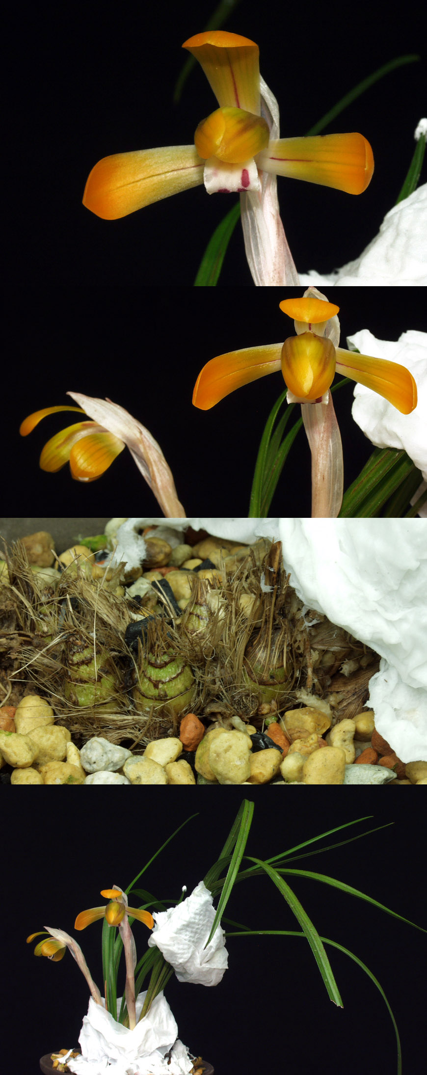 ������ ū������ �� �� �ֽ��ϴ�.