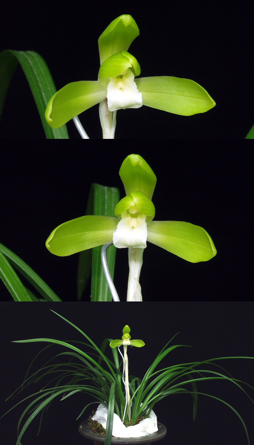 ������ ū������ �� �� �ֽ��ϴ�.