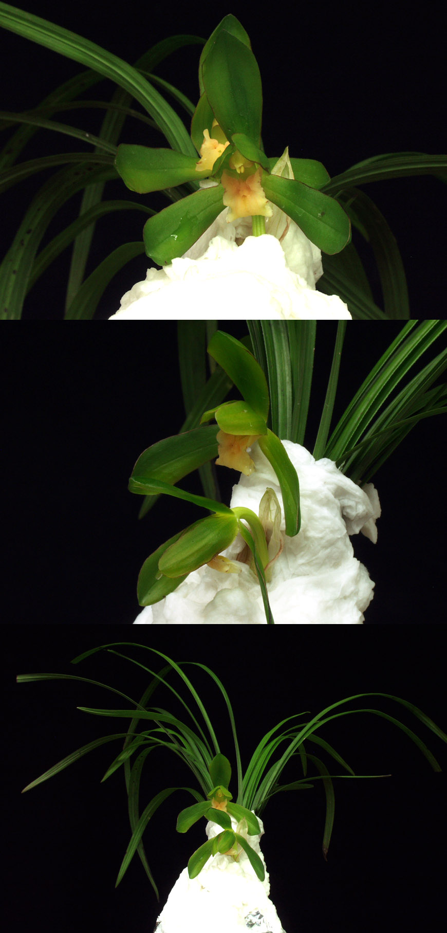 ������ ū������ �� �� �ֽ��ϴ�.