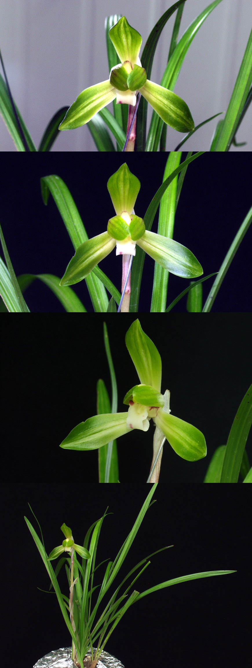 ������ ū������ �� �� �ֽ��ϴ�.