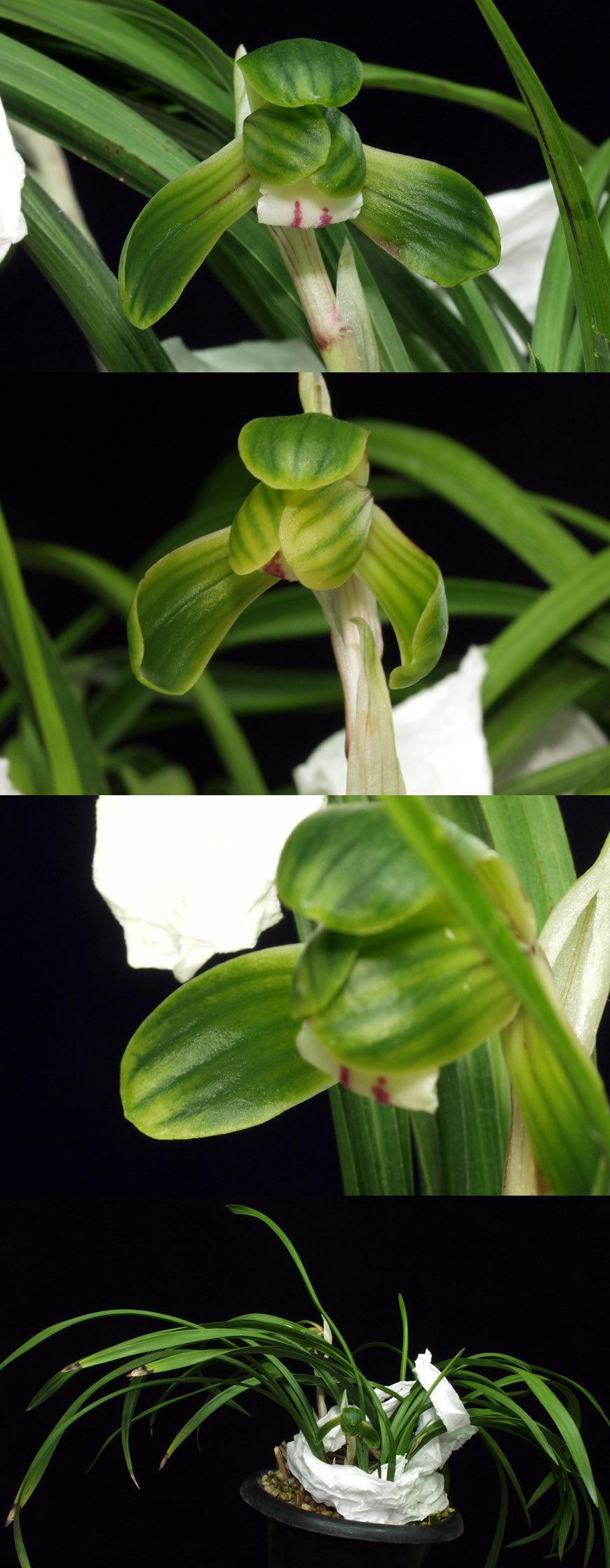 ������ ū������ �� �� �ֽ��ϴ�.