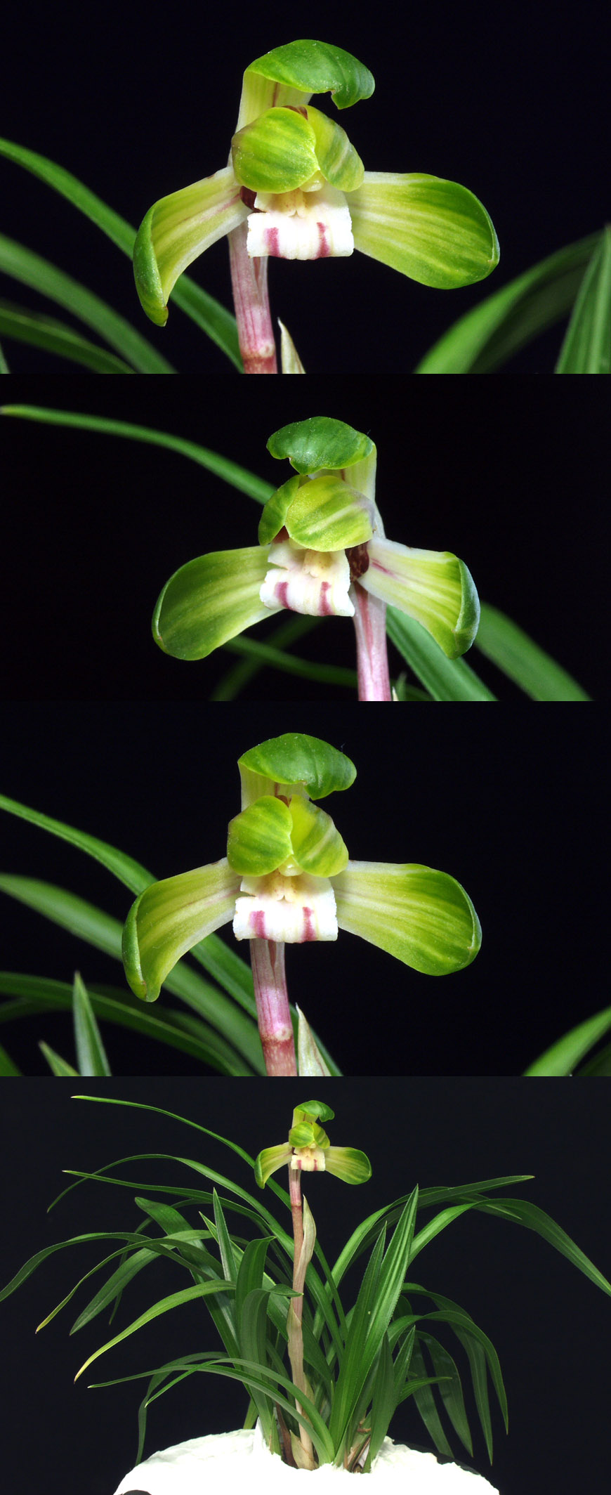 ������ ū������ �� �� �ֽ��ϴ�.