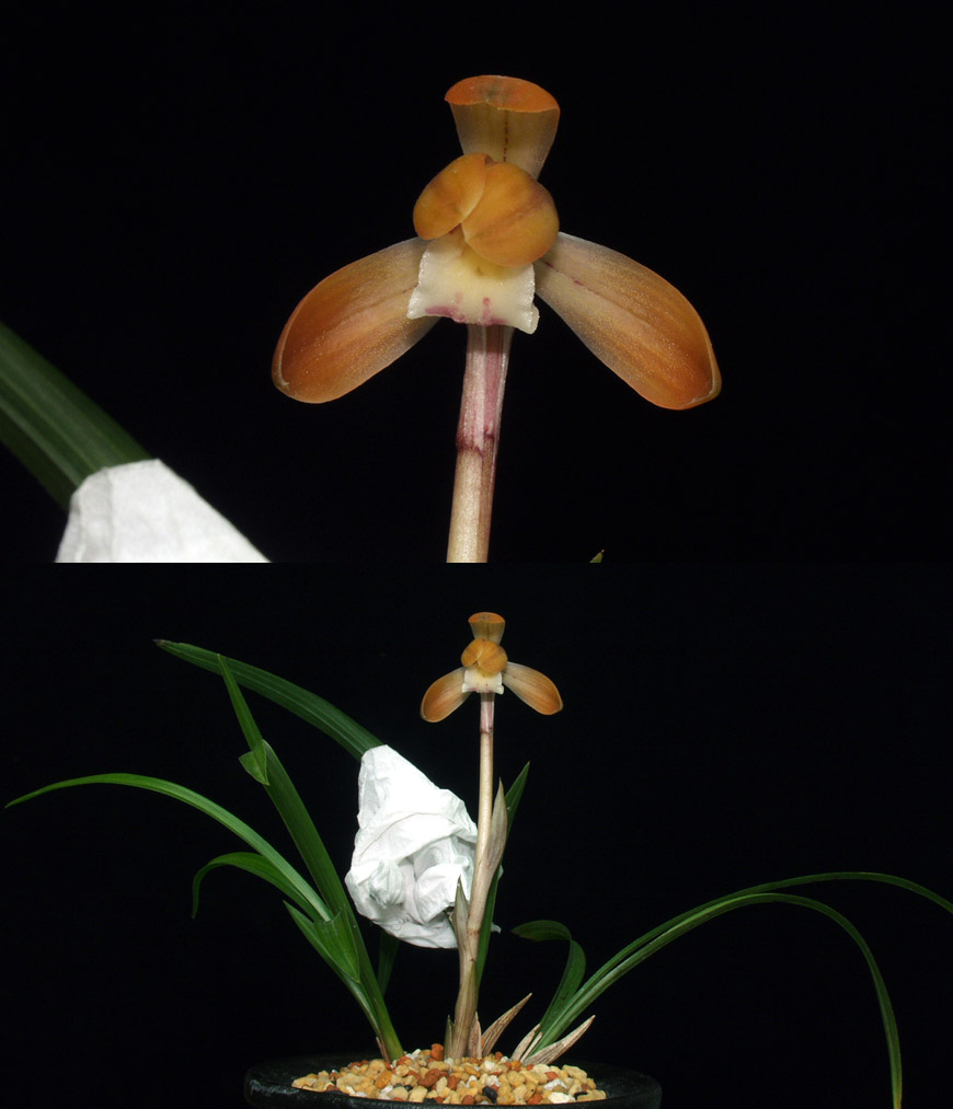 ������ ū������ �� �� �ֽ��ϴ�.