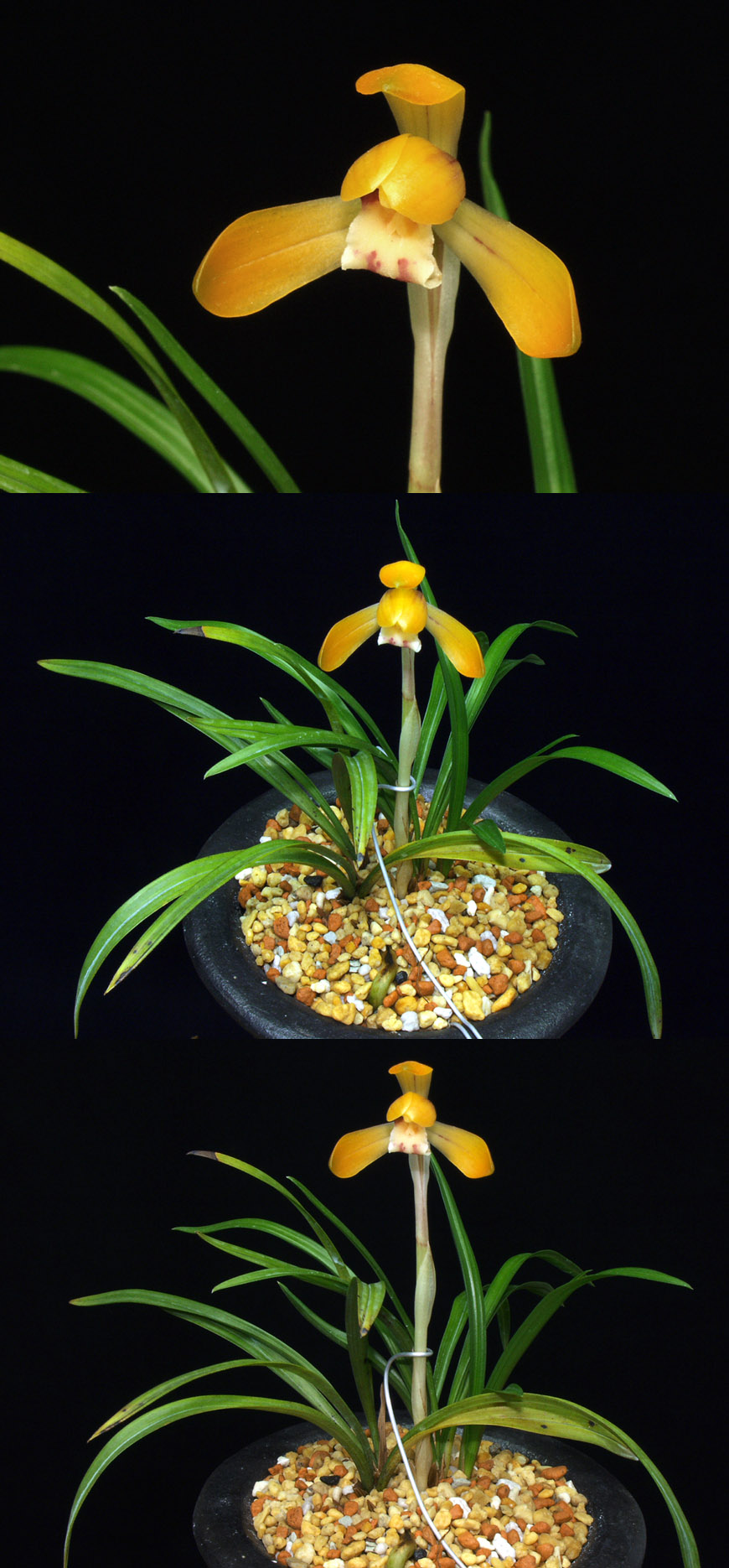 ������ ū������ �� �� �ֽ��ϴ�.