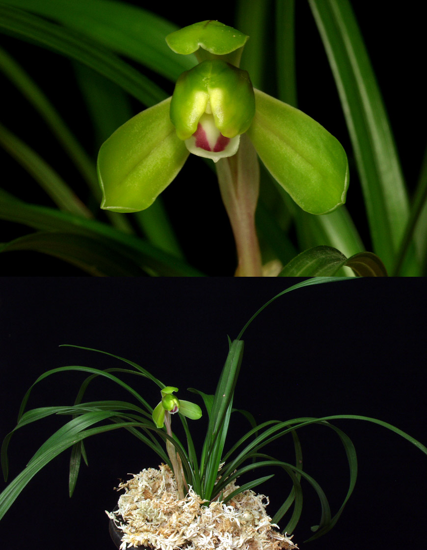 ������ ū������ �� �� �ֽ��ϴ�.