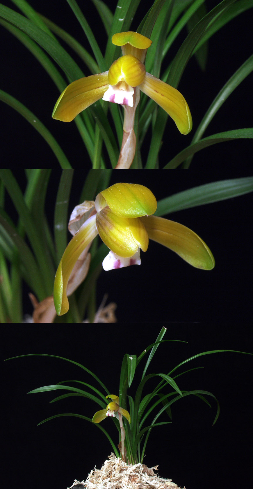 ������ ū������ �� �� �ֽ��ϴ�.