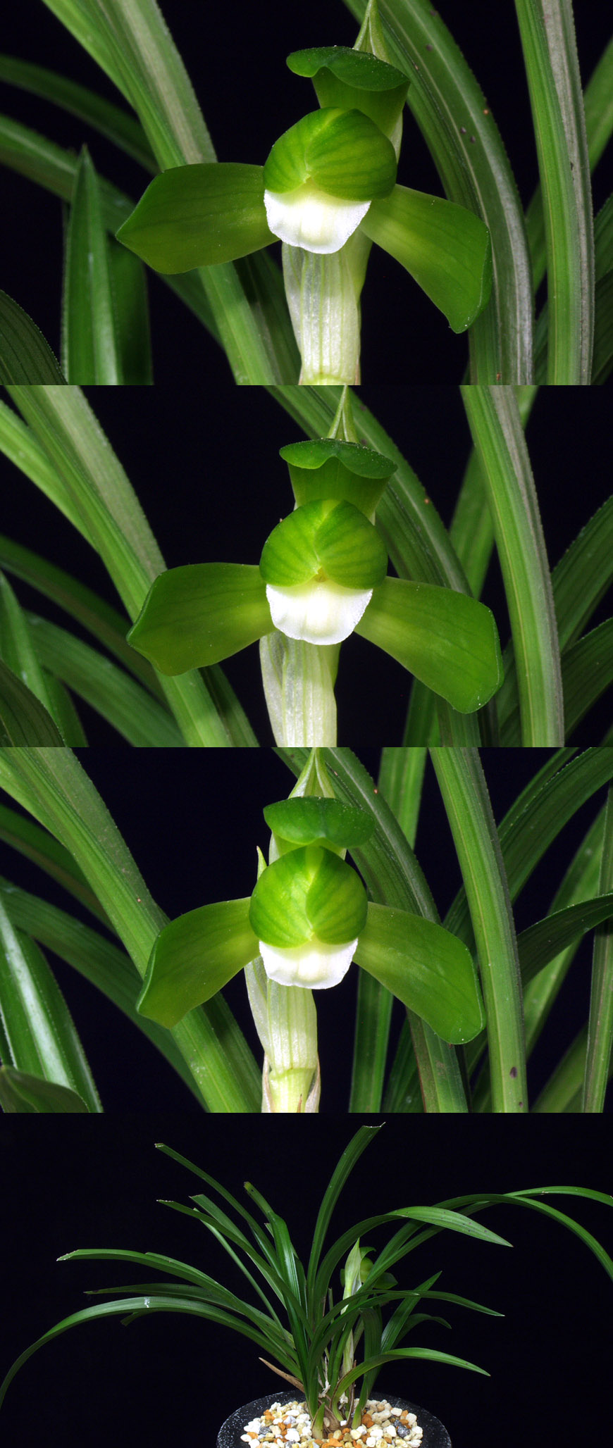 ������ ū������ �� �� �ֽ��ϴ�.