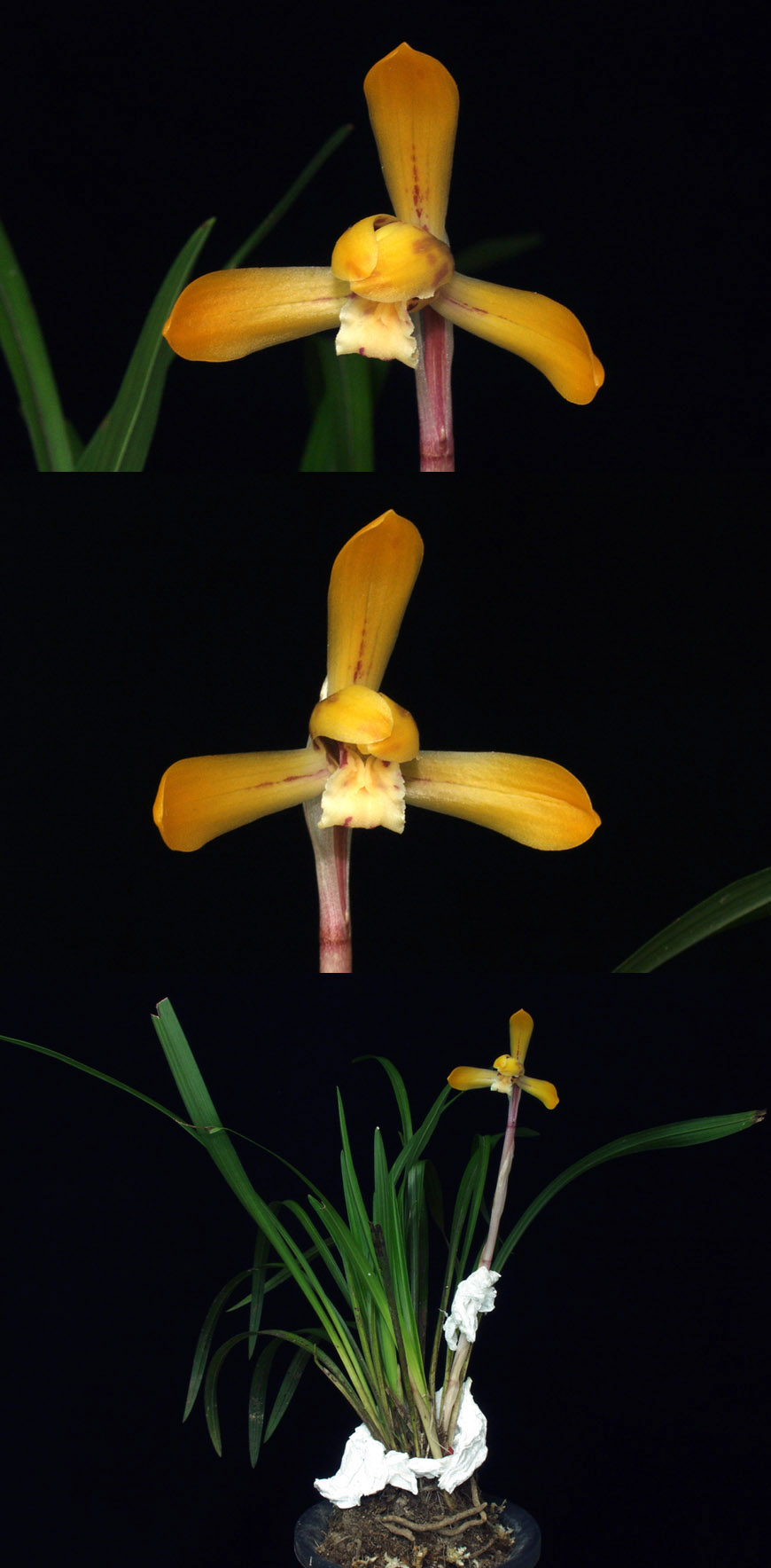 ������ ū������ �� �� �ֽ��ϴ�.