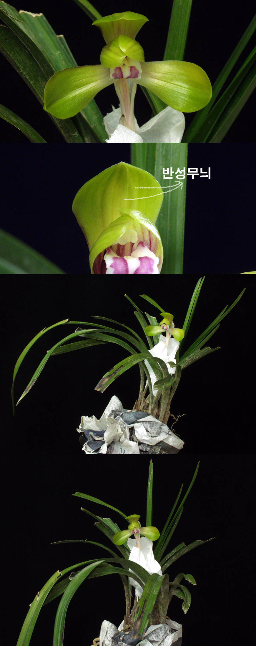 ������ ū������ �� �� �ֽ��ϴ�.