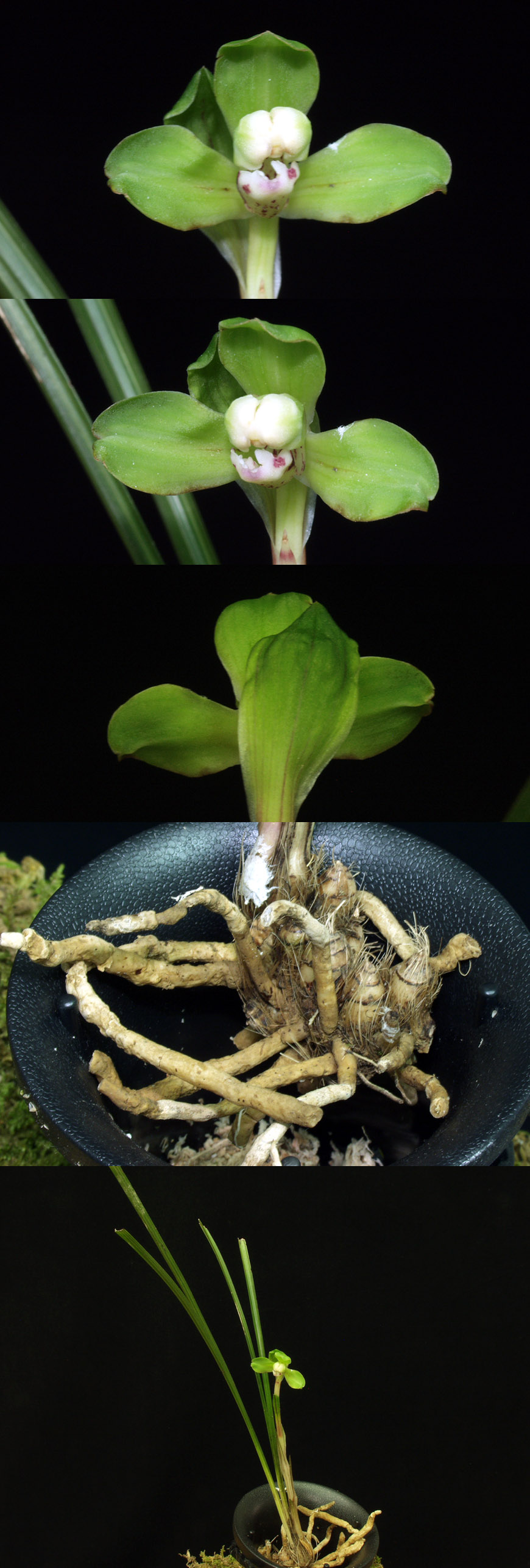 ������ ū������ �� �� �ֽ��ϴ�.