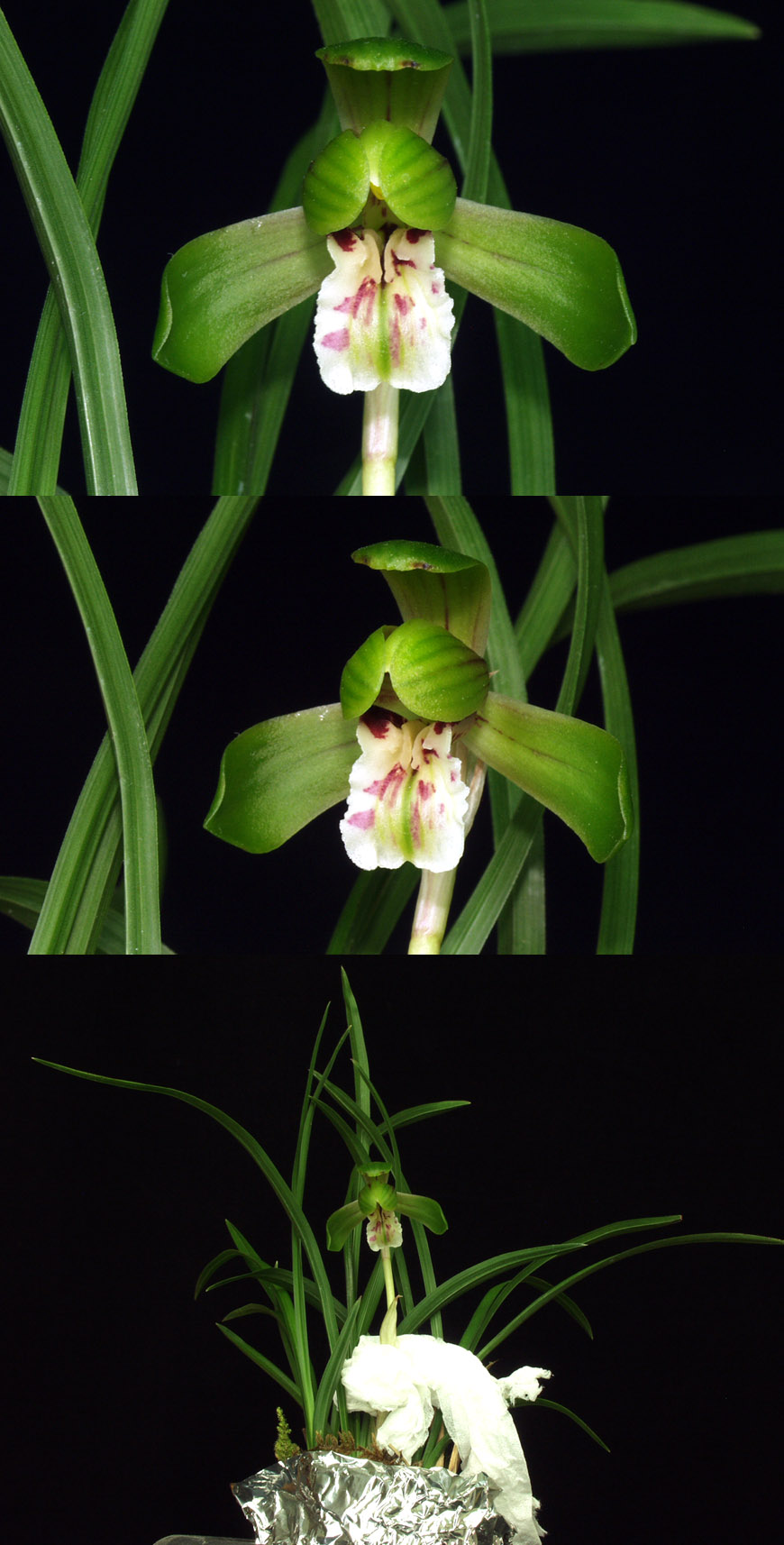 ������ ū������ �� �� �ֽ��ϴ�.