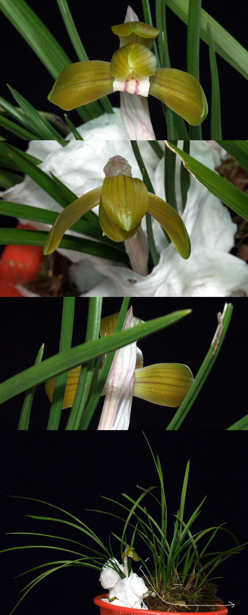 ������ ū������ �� �� �ֽ��ϴ�.