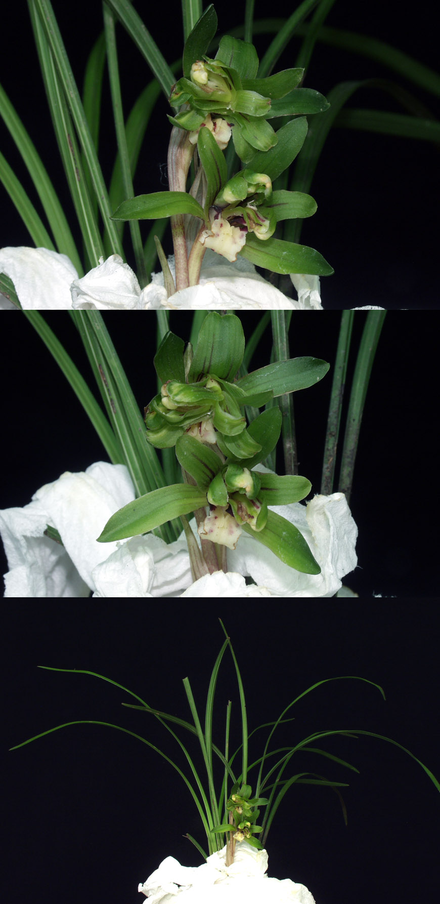 ������ ū������ �� �� �ֽ��ϴ�.