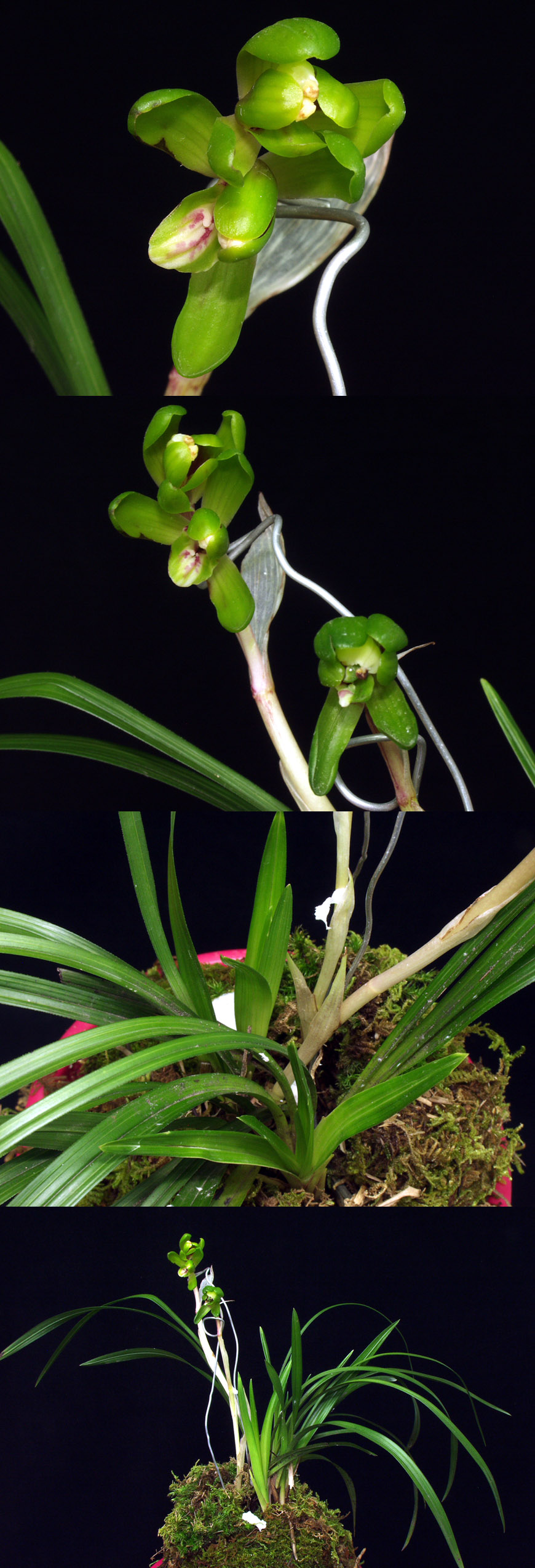 ������ ū������ �� �� �ֽ��ϴ�.