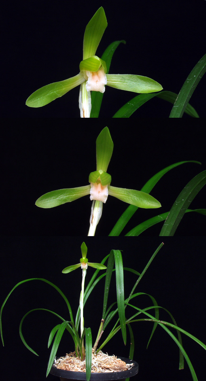 ������ ū������ �� �� �ֽ��ϴ�.