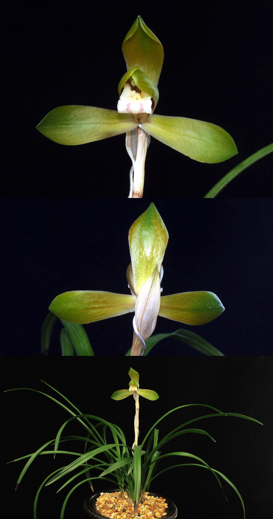 ������ ū������ �� �� �ֽ��ϴ�.