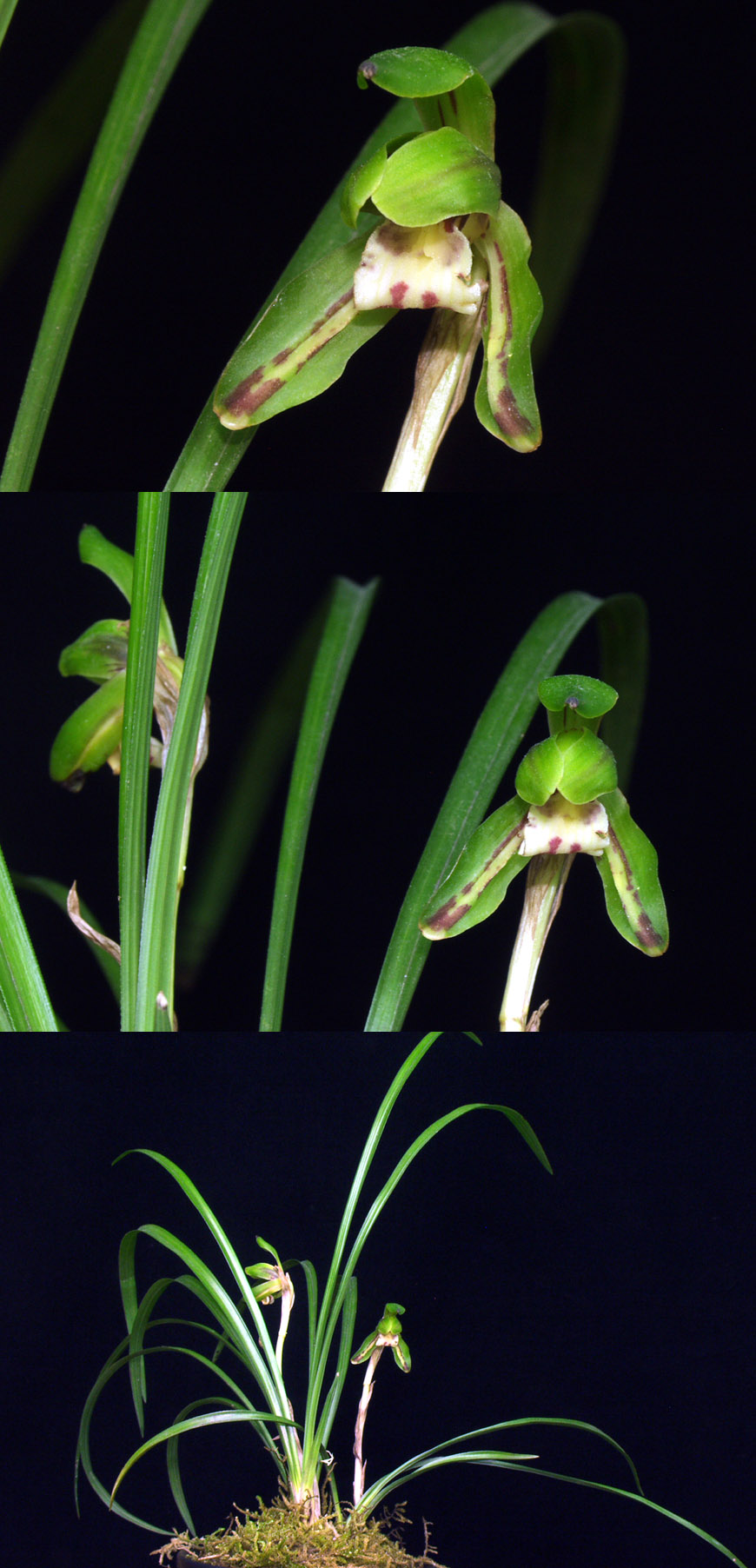 ������ ū������ �� �� �ֽ��ϴ�.