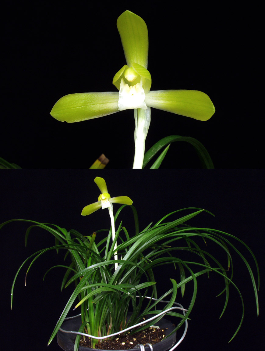 ������ ū������ �� �� �ֽ��ϴ�.