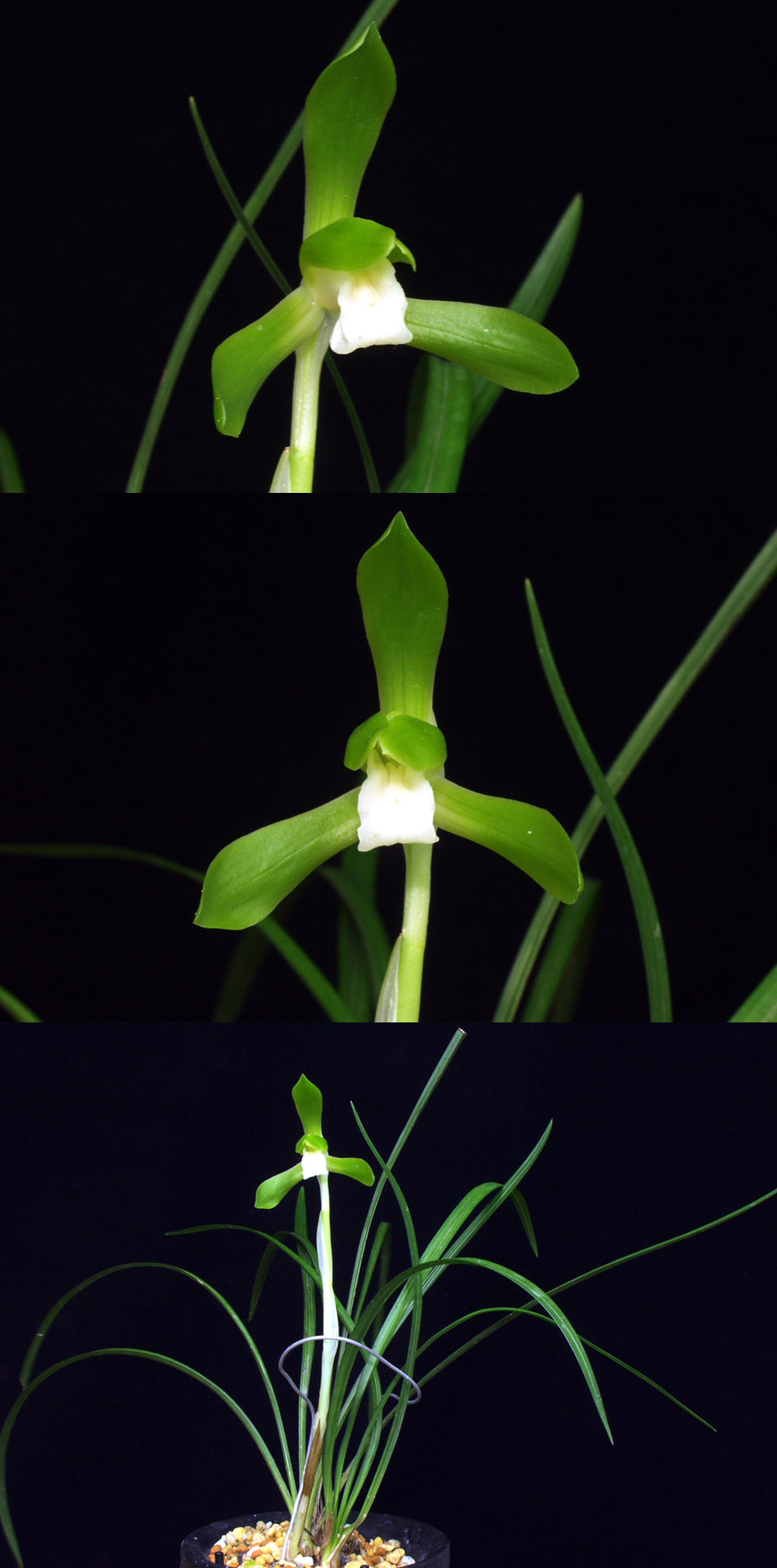 ������ ū������ �� �� �ֽ��ϴ�.