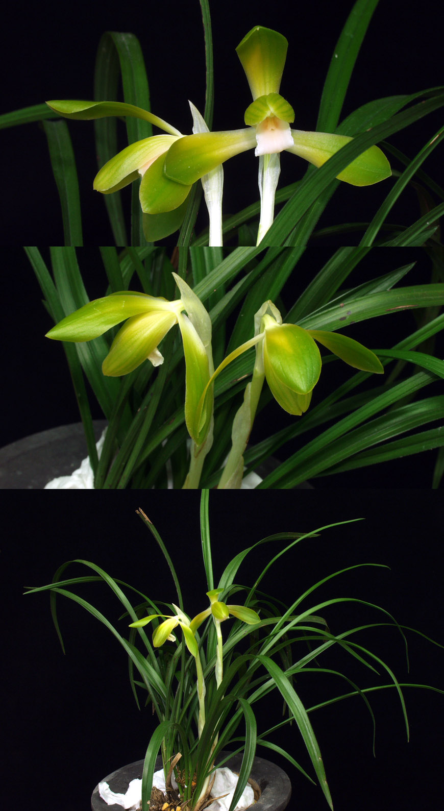 ������ ū������ �� �� �ֽ��ϴ�.