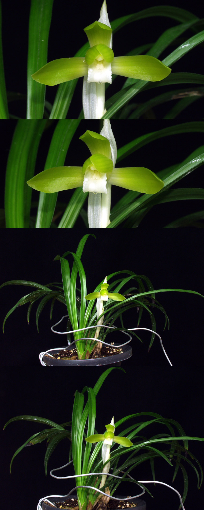 ������ ū������ �� �� �ֽ��ϴ�.