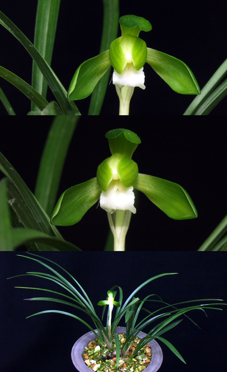 ������ ū������ �� �� �ֽ��ϴ�.