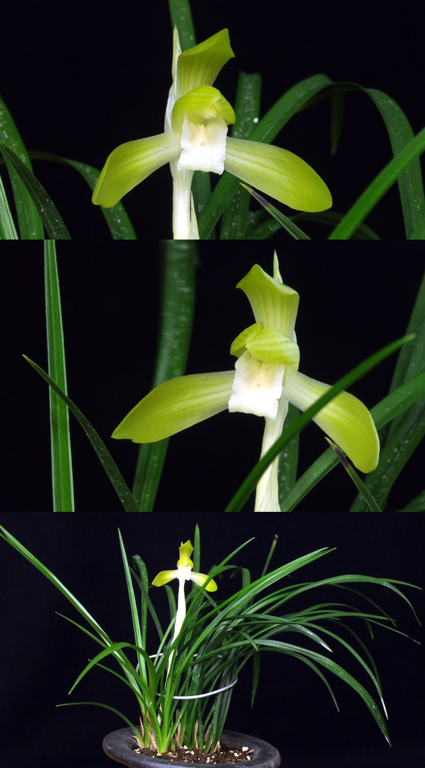 ������ ū������ �� �� �ֽ��ϴ�.