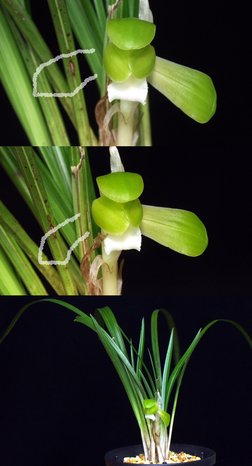 ������ ū������ �� �� �ֽ��ϴ�.