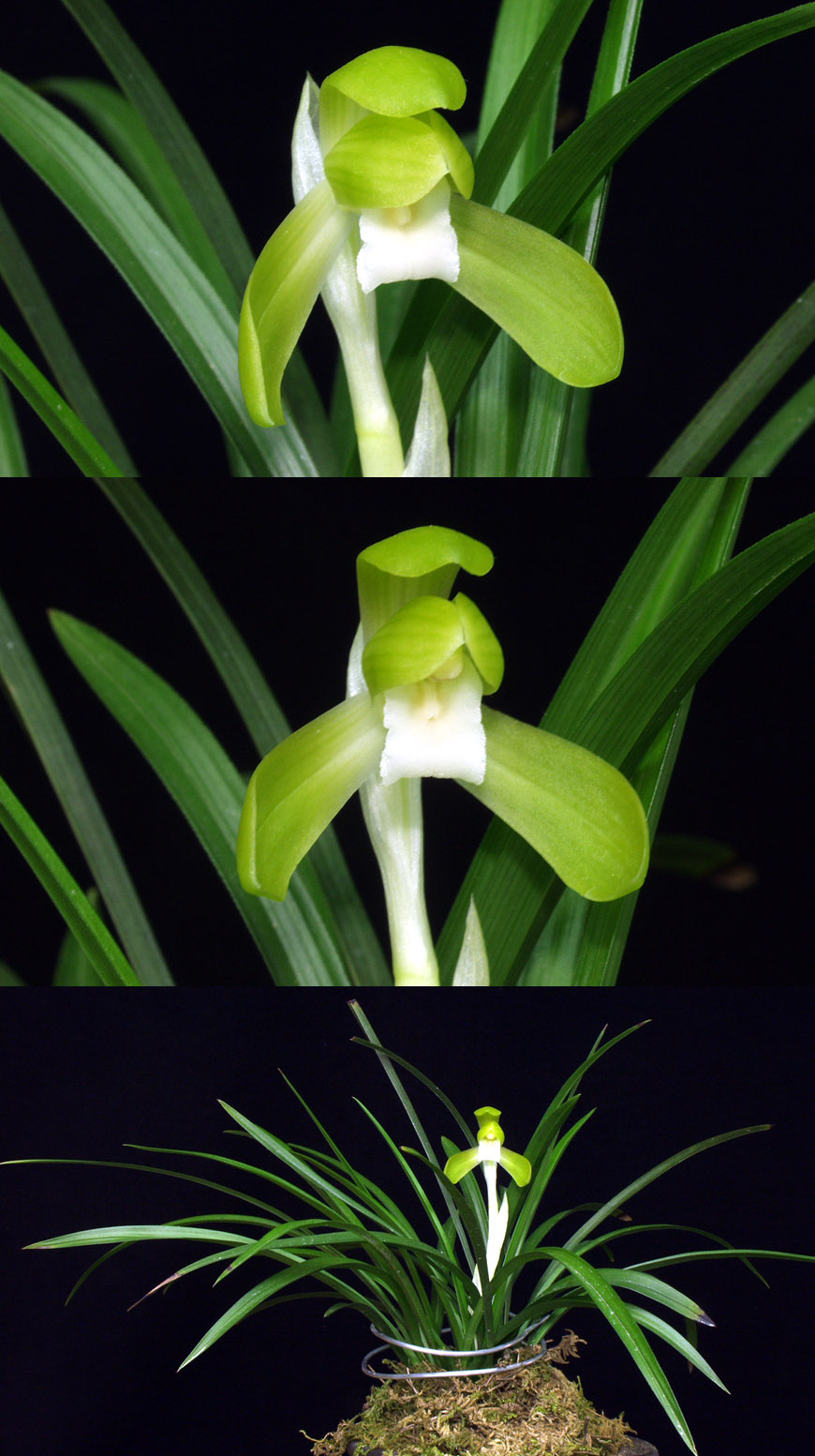 ������ ū������ �� �� �ֽ��ϴ�.