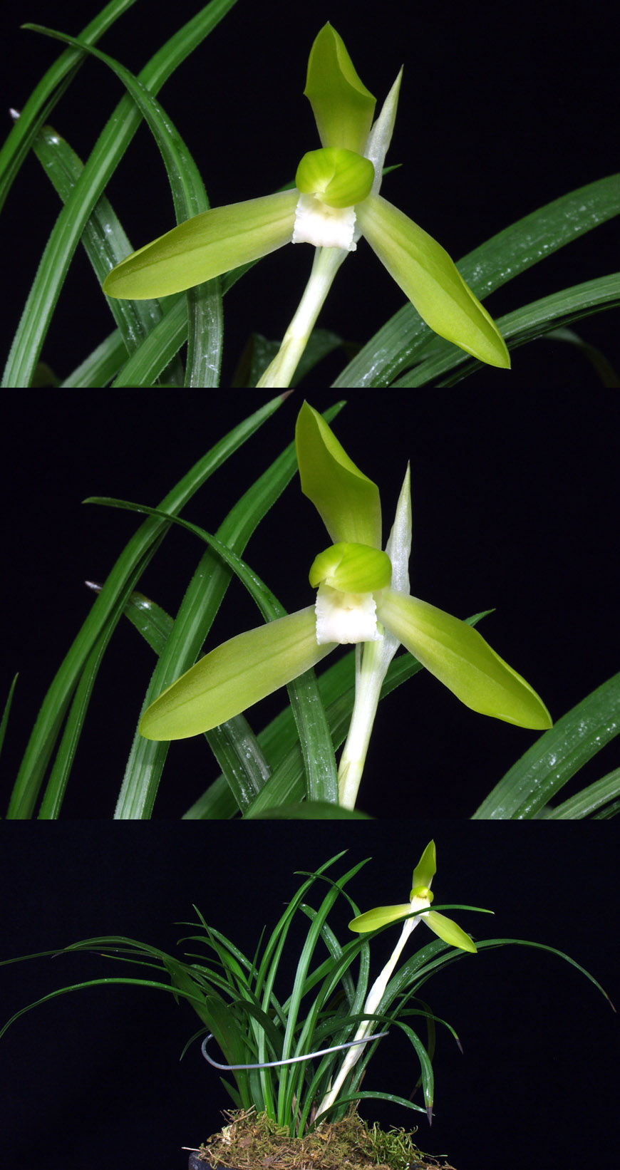 ������ ū������ �� �� �ֽ��ϴ�.