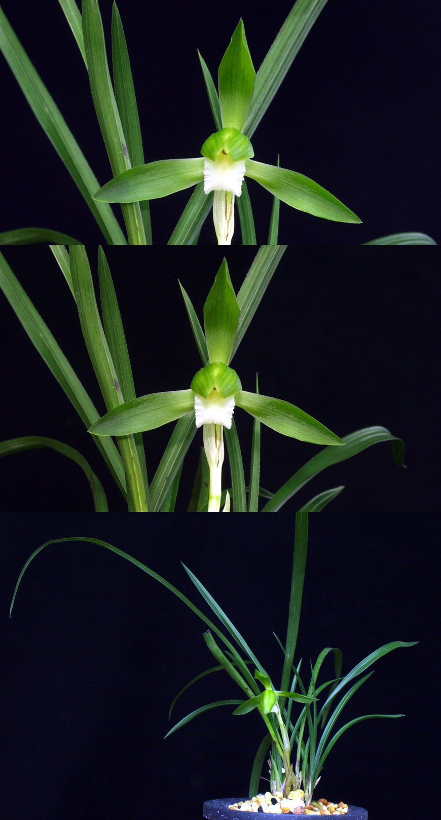 ������ ū������ �� �� �ֽ��ϴ�.