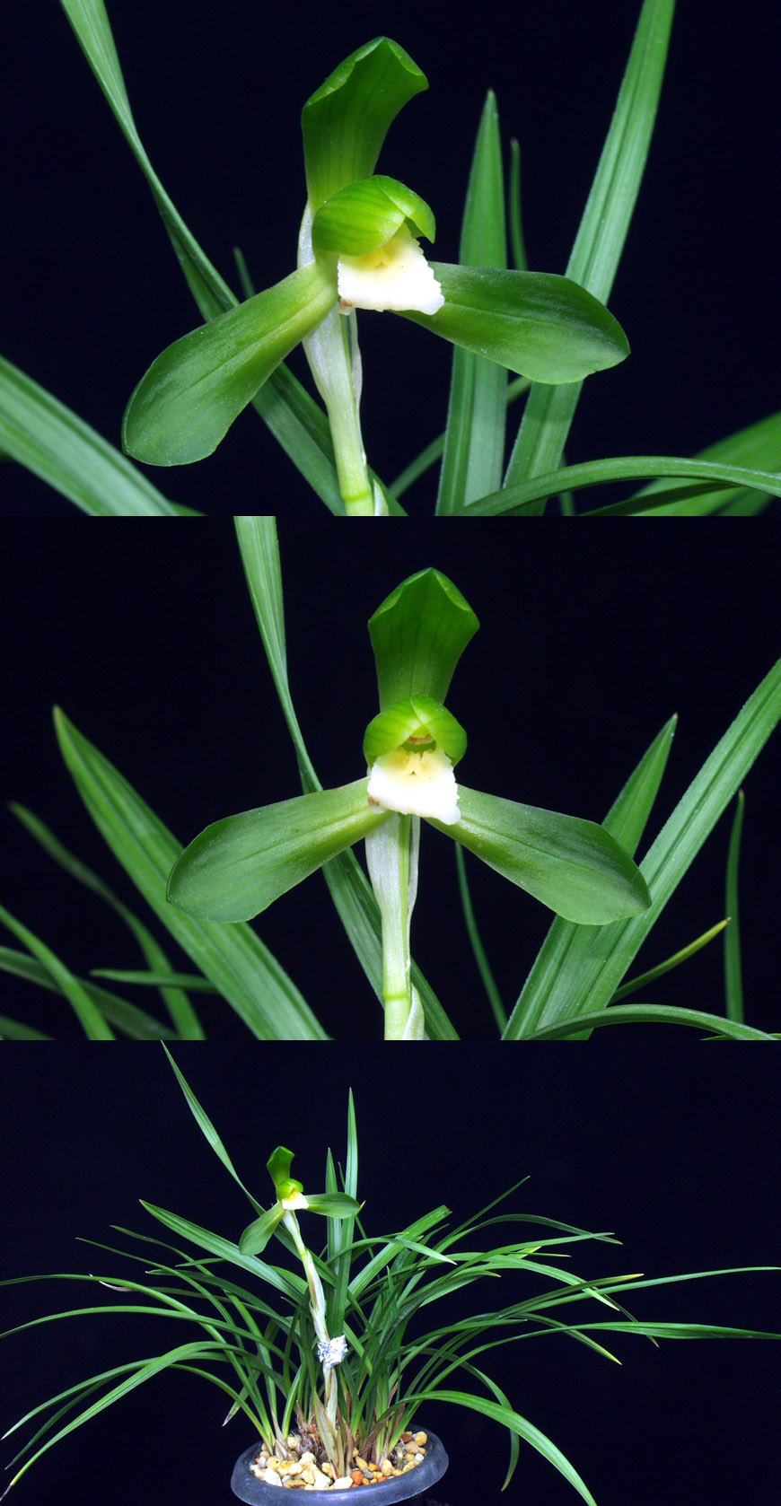 ������ ū������ �� �� �ֽ��ϴ�.