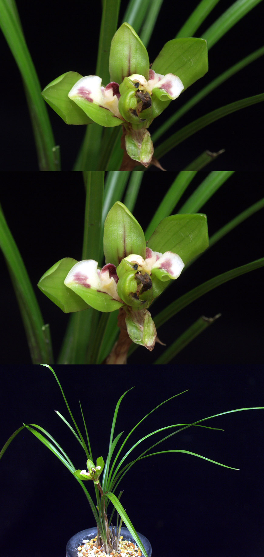 ������ ū������ �� �� �ֽ��ϴ�.