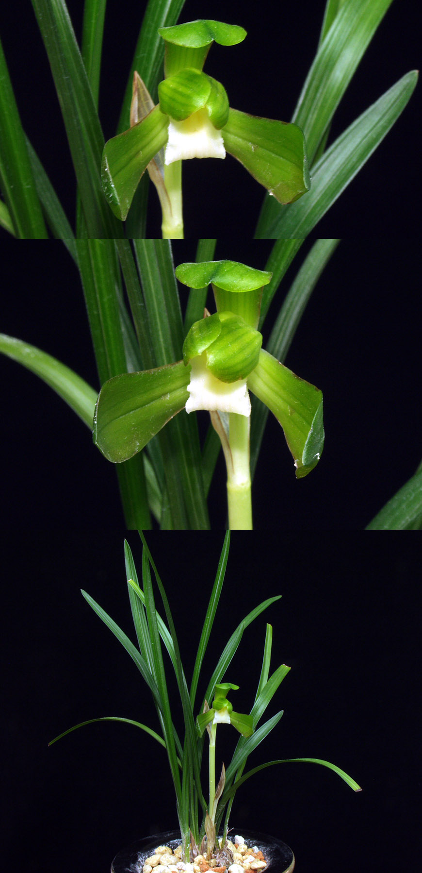 ������ ū������ �� �� �ֽ��ϴ�.