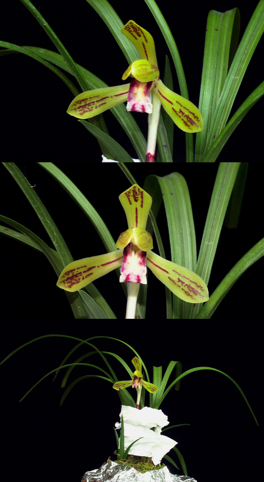 ������ ū������ �� �� �ֽ��ϴ�.